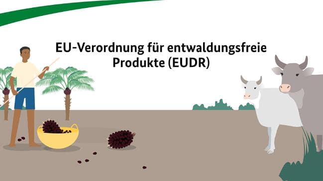 EU-Verordnung für entwaldungsfreie Produkte (EUDR)